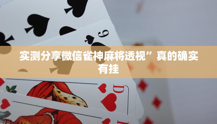 攻略必备“新世界金花可以开挂吗”其实确实有挂
