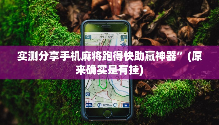 实测分享新海米万能开挂器通用版”(原来确实是有挂)