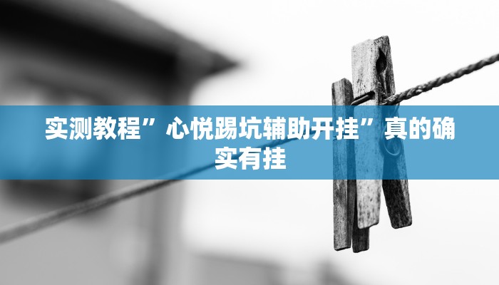 实测教程”新海米有透视吗”(原来确实是有挂)