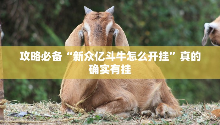 攻略必备“大头十三张辅助透视挂软件”其实确实有挂
