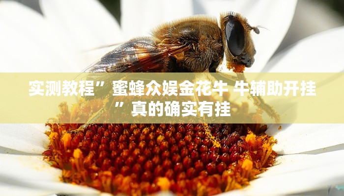 实测教程”心动休闲助赢神器”(原来确实是有挂)