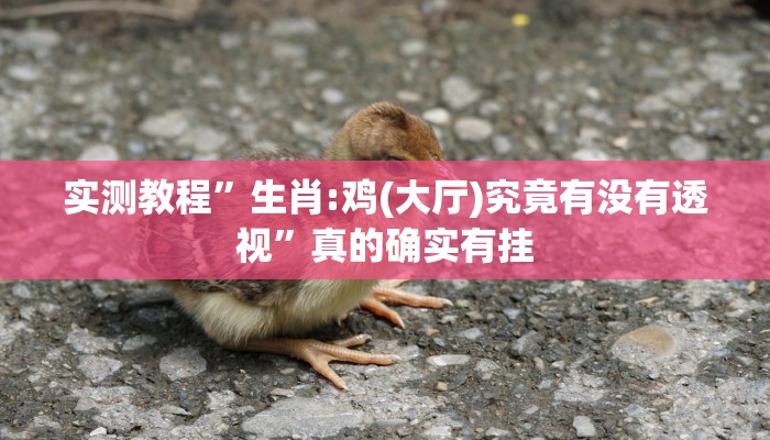 实测教程”微乐麻将透视”真的确实有挂