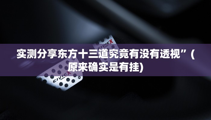 攻略必备“炫龙二厅辅助开挂”(原来确实是有挂)