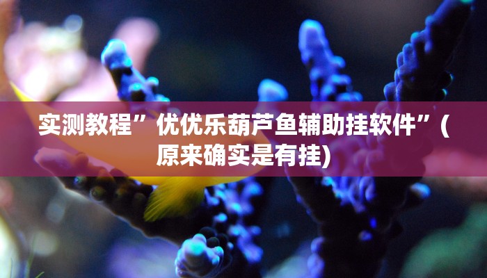 实测教程”边锋陕西麻将透视软件”(原来确实是有挂)