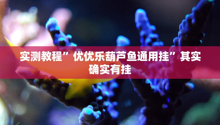 实测教程”新上游金花牛 牛透视”其实确实有挂
