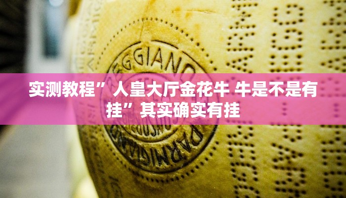 攻略必备“长虹怎么用挂”(原来确实是有挂)