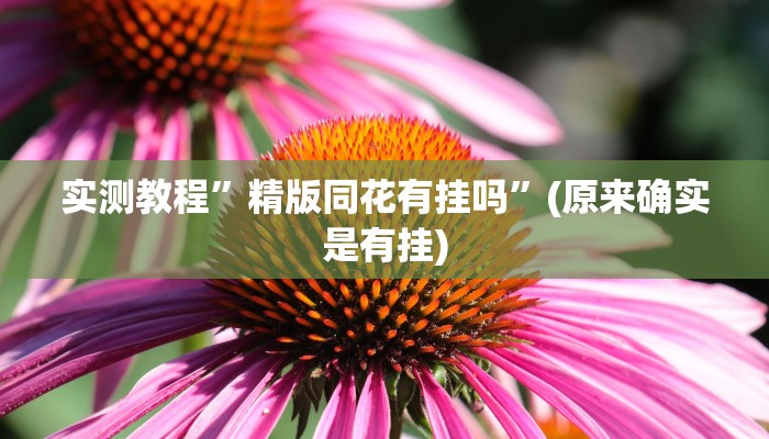 攻略必备“小闲54棋牌作弊透视开挂软件”其实确实有挂
