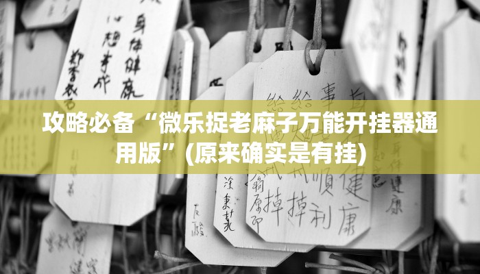 攻略必备“微乐捉老麻子万能开挂器通用版”(原来确实是有挂)