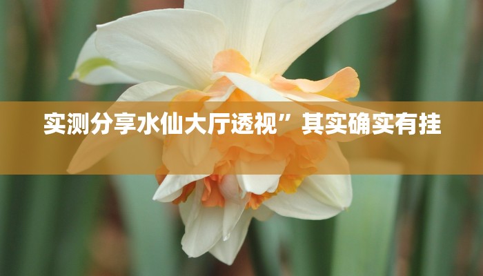 实测教程”新永和作弊透视软件方法”真的确实有挂