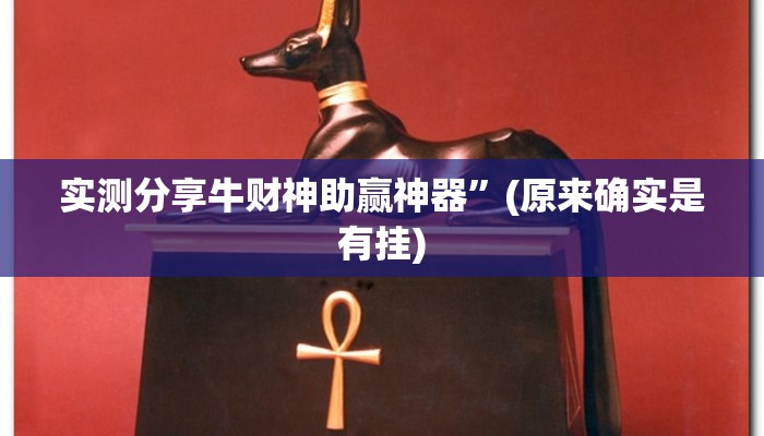 攻略必备“莫莫娱乐辅助透视挂软件”其实确实有挂
