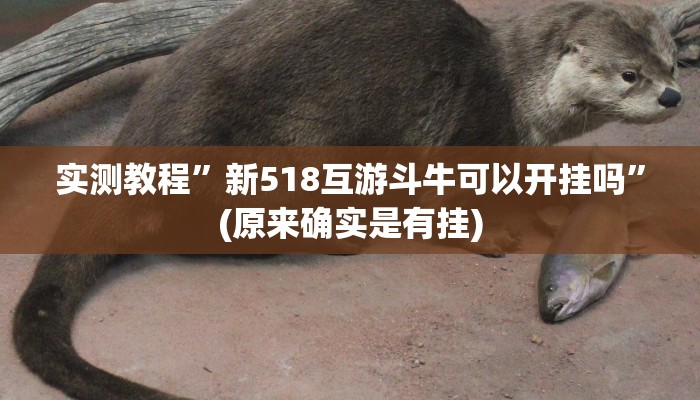实测教程”朱雀开心罗松作弊透视开挂软件”真的确实有挂
