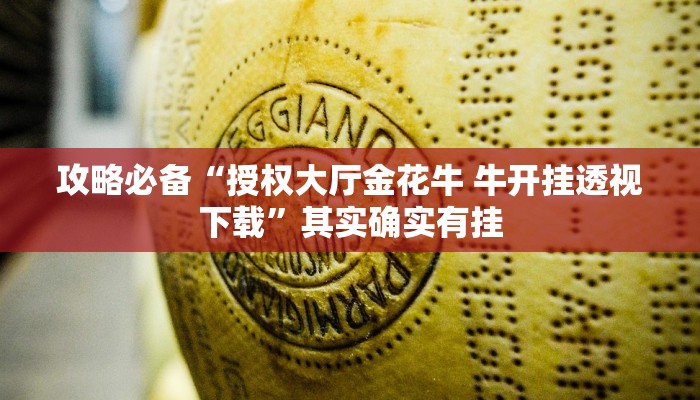 攻略必备“天酷可以开挂吗”(原来确实是有挂)