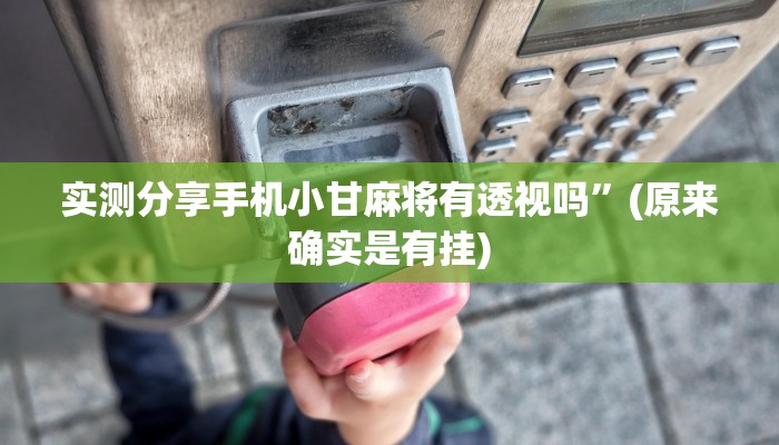 攻略必备“天天爱宿州麻将用挂开挂软件”
(原来确实是有挂)