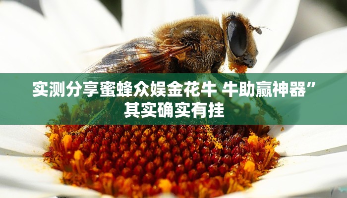 攻略必备“聚旺互娱怎么用挂”其实确实有挂

