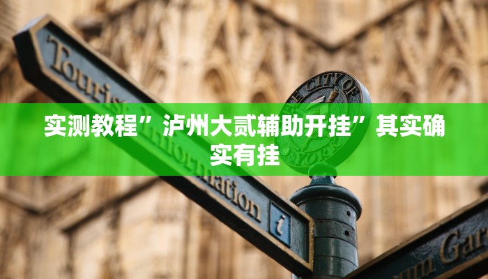实测教程”泸州大贰辅助开挂”其实确实有挂
