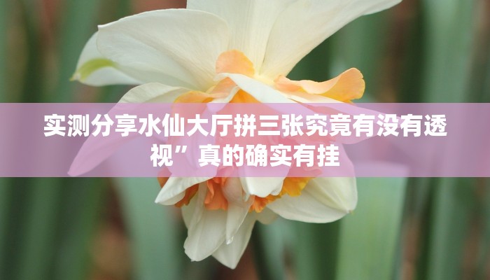 实测教程”小松宿松麻将透视挂”(原来确实是有挂)