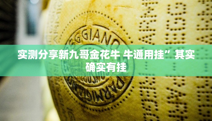 实测教程”情怀麻将怎么用挂”其实确实有挂
