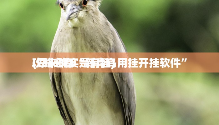 攻略必备“中至武宁双扣有挂吗”其实确实有挂

