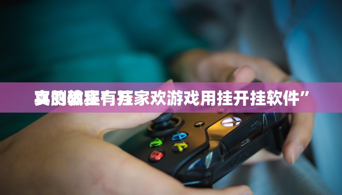 实测分享博乐龙江填大坑辅助挂软件”(原来确实是有挂)