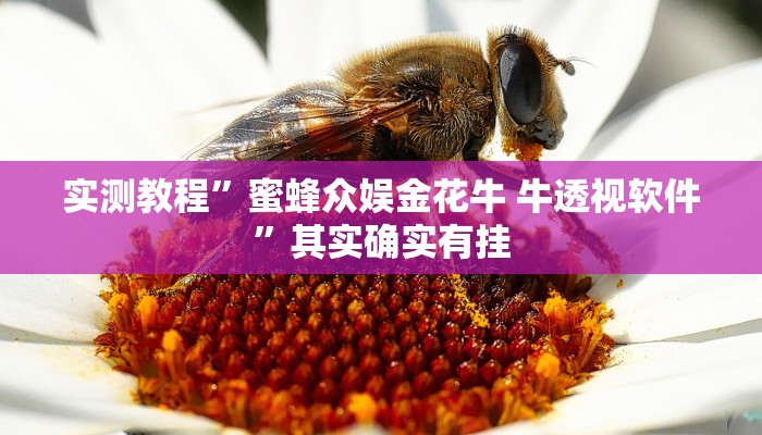 攻略必备“悟空大厅斗牛怎么用挂”真的确实有挂