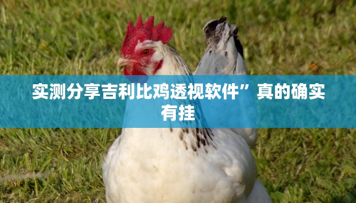 攻略必备“陕西全民娱乐作弊透视开挂软件”真的确实有挂