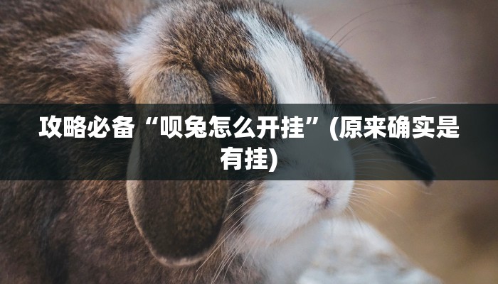 实测分享顶尖娱乐作弊透视开挂软件”其实确实有挂

