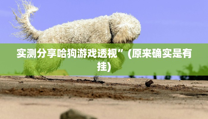 攻略必备“琼戏互娱开挂透视下载”真的确实有挂