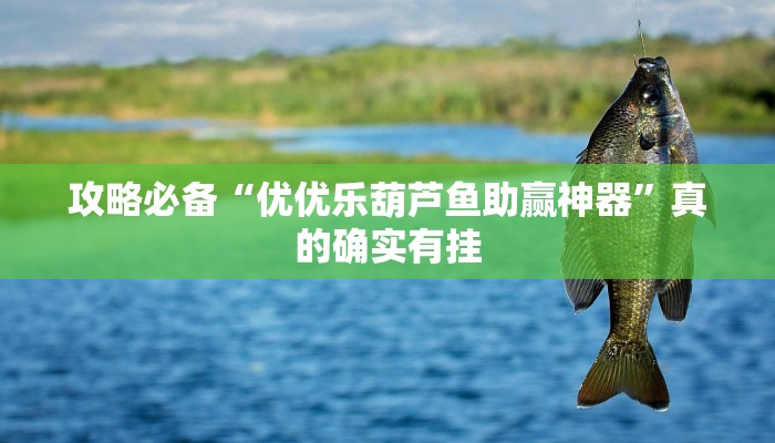 攻略必备“同城游罗松十三道究竟有没有透视”其实确实有挂
