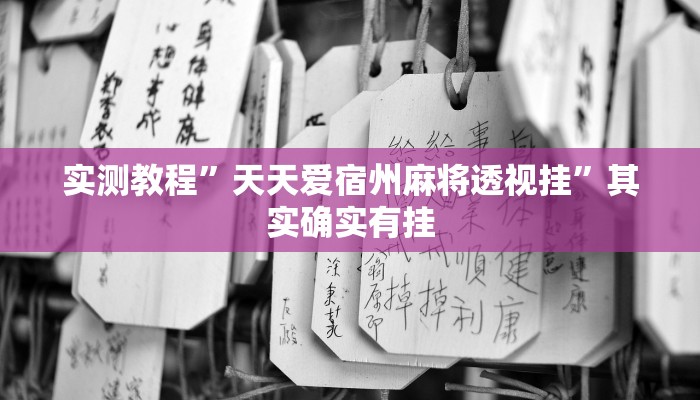 攻略必备“一起宁德游戏究竟有没有透视”(原来确实是有挂)