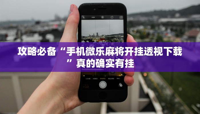 攻略必备“欢乐龙城3作弊透视开挂软件”(原来确实是有挂)