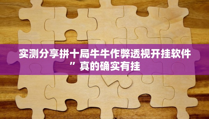 实测教程”百乐盟作弊透视开挂软件”(原来确实是有挂)