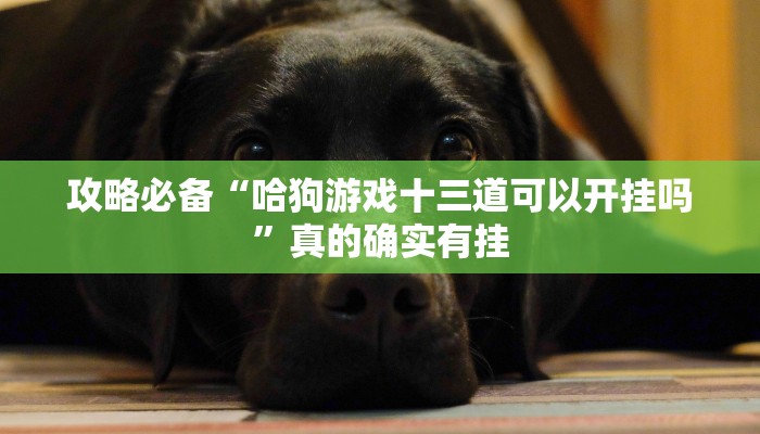 实测教程”相约福建十三水作弊透视软件方法”其实确实有挂

