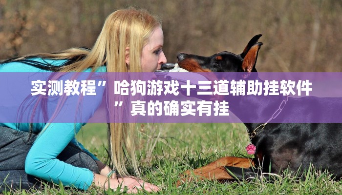 实测教程”众星游戏用挂开挂软件”
(原来确实是有挂)