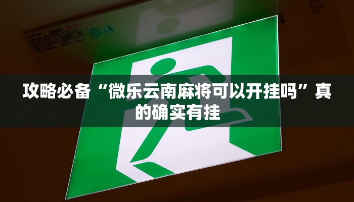 攻略必备“土豪联盟开挂神器”其实确实有挂

