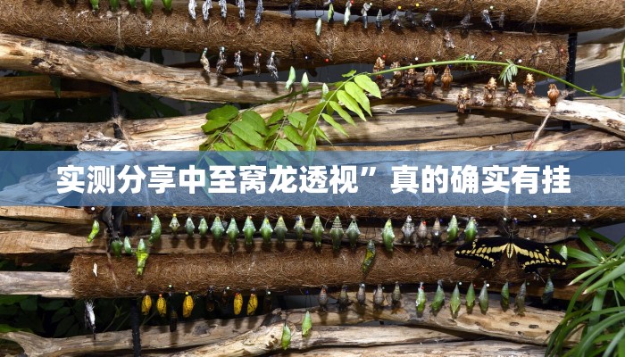 实测分享雀友圈斗地主辅助透视挂软件”真的确实有挂