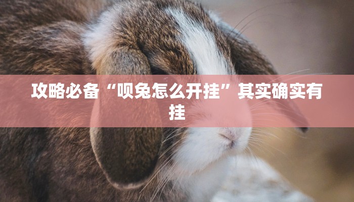 实测分享大头十三水透视挂”其实确实有挂
