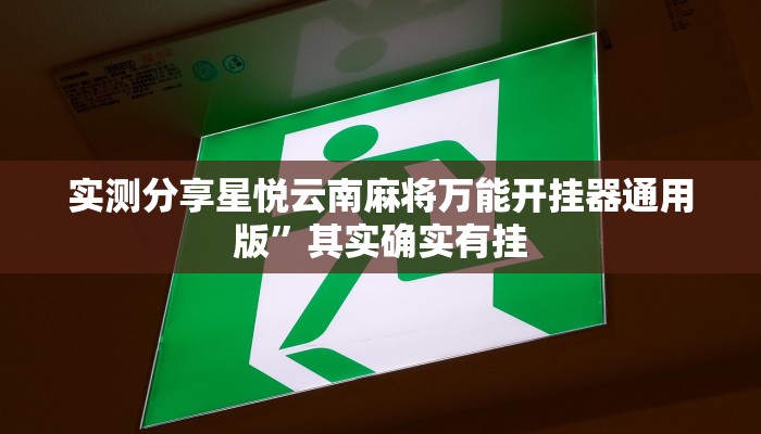 实测教程”兴盛娱乐作弊透视开挂软件”其实确实有挂
