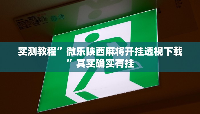 攻略必备“新猴王大厅辅助挂软件”其实确实有挂
