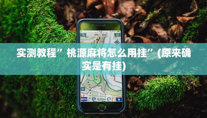 实测分享九道麻将有挂吗”(原来确实是有挂)