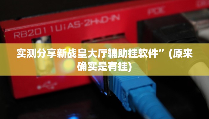 实测教程”新蛮王大厅可以开挂吗”(原来确实是有挂)