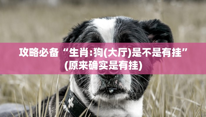 实测教程”赣湘互娱辅助开挂”(原来确实是有挂)