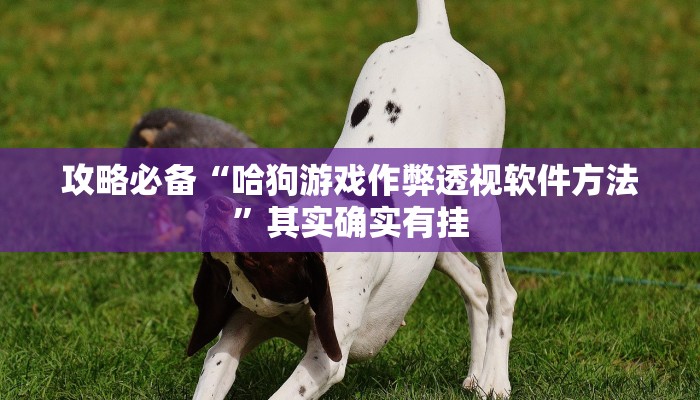 实测分享鄱阳翻精助赢神器”其实确实有挂
