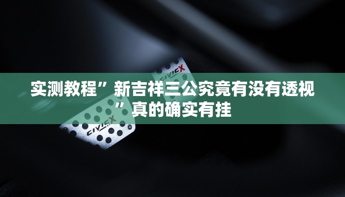 实测分享万顺二八杠透视挂方法”(原来确实是有挂)