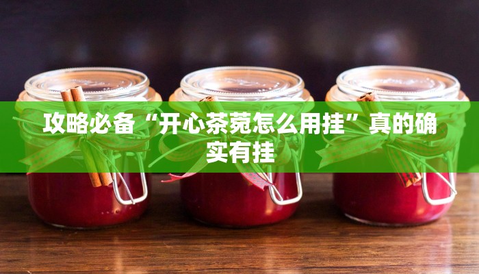 攻略必备“开心茶菀怎么用挂”真的确实有挂