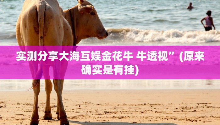 实测分享羊城牌乐汇开挂神器”其实确实有挂
