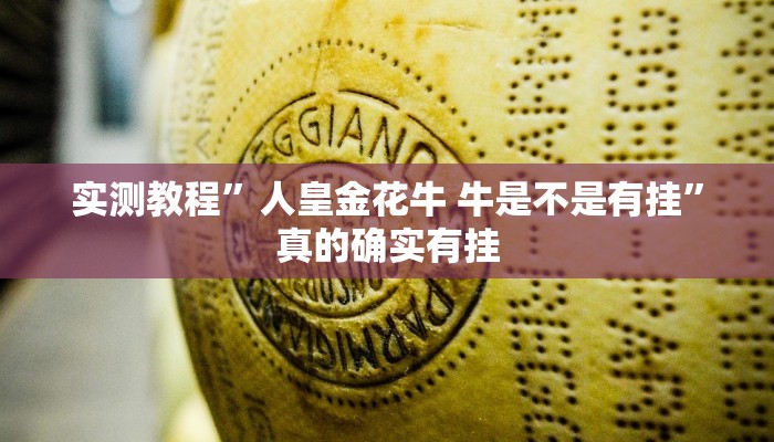 攻略必备“老家游麻将透视”(原来确实是有挂)