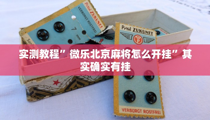 攻略必备“佛手在线十三道透视”真的确实有挂