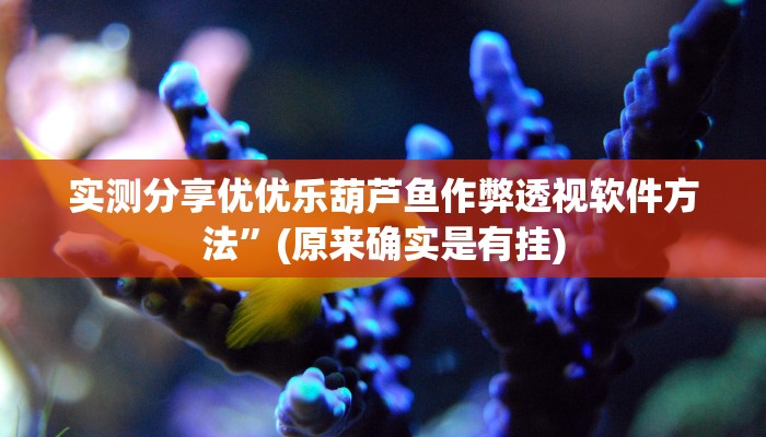 攻略必备“酒城跑得快透视挂”(原来确实是有挂)
