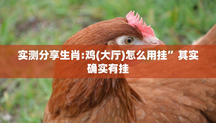 实测分享兴动海满麻将作弊透视软件方法”(原来确实是有挂)