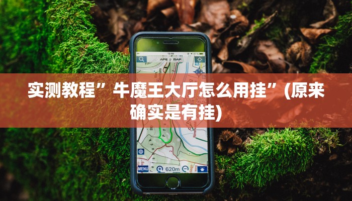 攻略必备“问鼎娱乐透视软件”其实确实有挂
